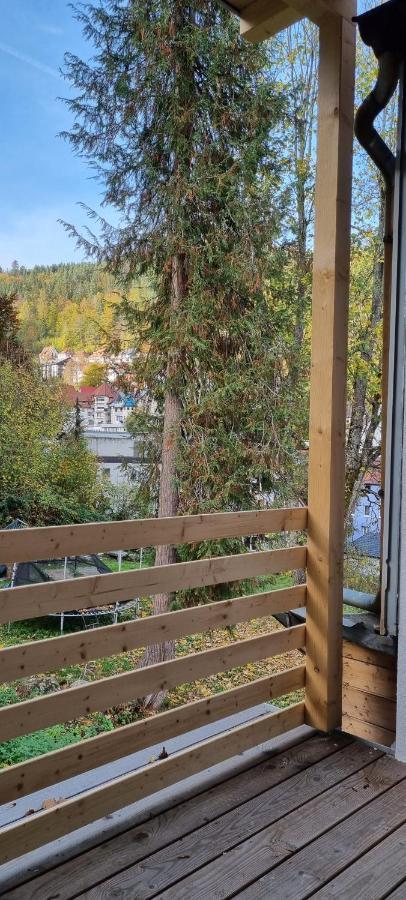 Sm3 Apartment Triberg im Schwarzwald Exterior photo